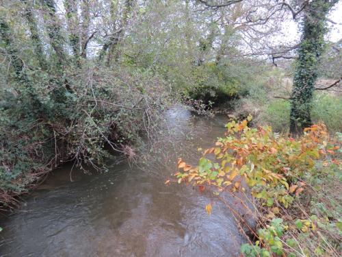 8.-Looking-downstream-from-Wellisford-Manor-Farm-accommodation-bridge