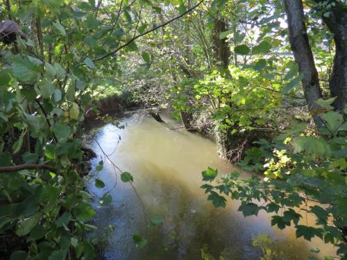 8.-Looking-upstream-from-Cothay-ROW-Footbridge-No.-5261