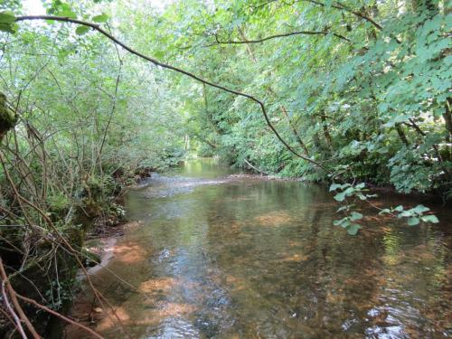 8.-Looking-upstream-from-Week-Accommodation-Bridge