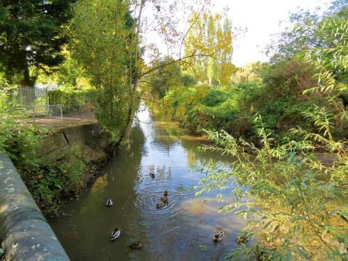 8.-Looking-upstream-to-Steps-Water-from-ROW-Bridge-5298-2