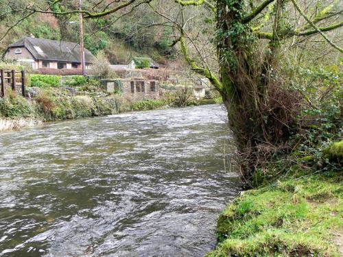 8.-Upstream-from-upper-town-mill-weir-3