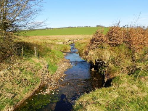 80.-Litton-Water-joins-with-stream-from-Halscombe-Alotment-to-form-Danes-Brook-2