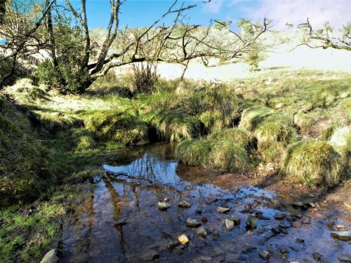 80.-Waters-joining-from-Longstone-Combe-2