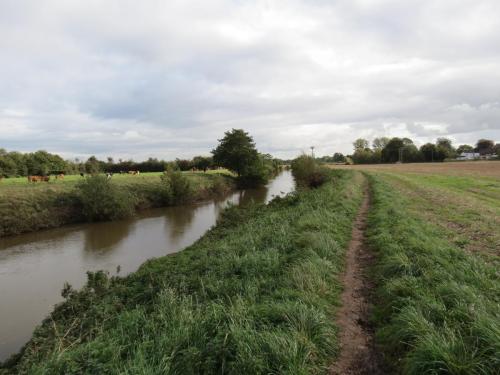 84.-Downstream-from-M5-River-Tone-Bridge