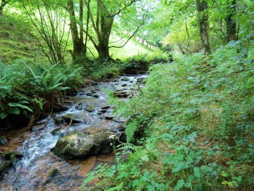 84.-Upstream-from-Clatworthy-Reservoir-2