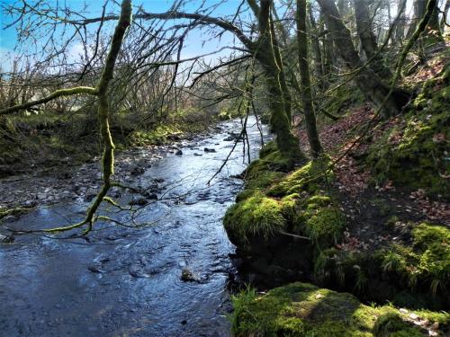 85.-Looking-downstream-from-Longstone-Combe-2