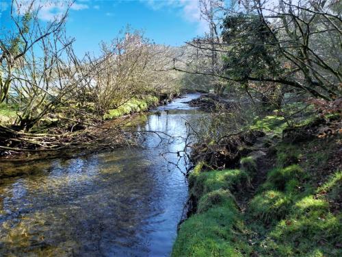 86.-Downstream-from-Longstone-Combe-2