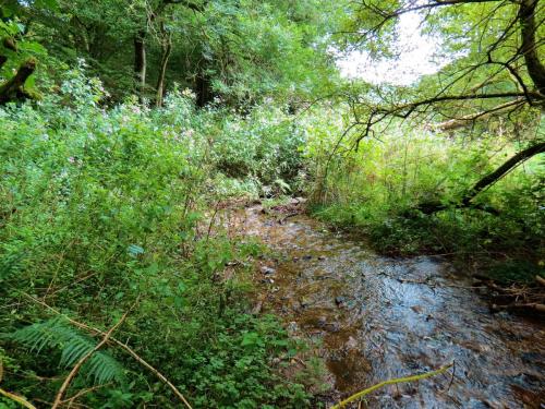 86.-Upstream-from-Clatworthy-Reservoir-2