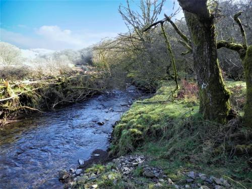 87.-Downstream-from-Longstone-Combe-2