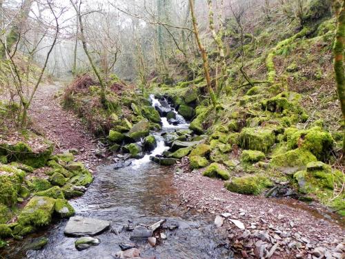 87.-Looking-upstream-from-Sideway-Wood-Footbridge-B-2