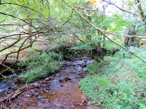 87.-Upstream-from-Clatworthy-Reservoir-2