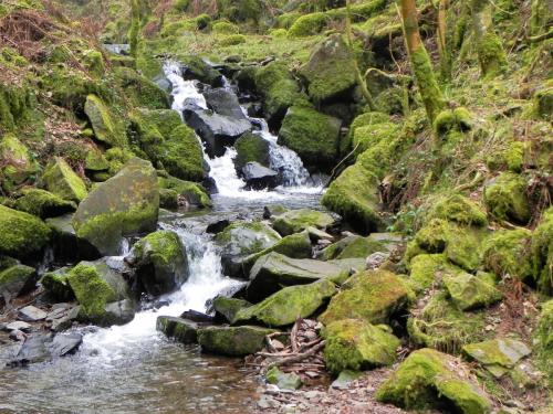 88.-Waterfall-upstream-from-Sideway-Wood-Footbridge-B-2