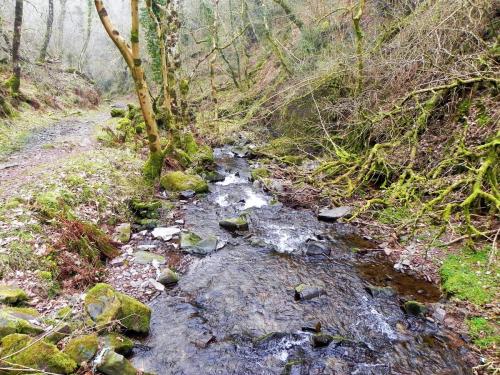 89.-Looking-downstream-from-Sideway-Wood-Footbridge-B-2