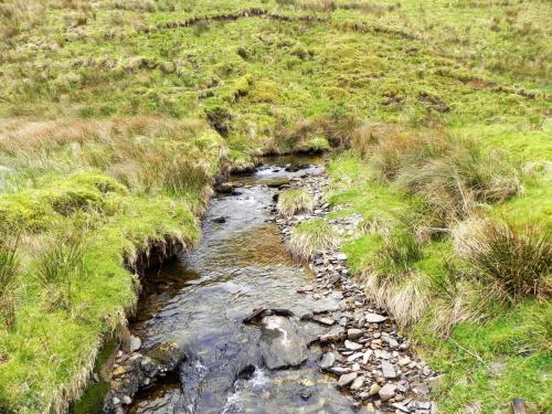 89.-Tributary-stream-from-west-of-Wintershead-Farm-2