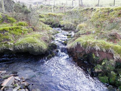 8a.-Tributary-stream-joins-from-Hoaroak-Hill-2