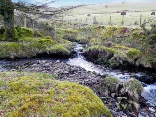 8b.-Tributary-stream-joins-from-Hoaroak-Hill-2