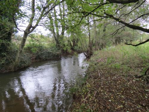 9.-Downstream-from-Wellisford-Manor-Farm-accommodation-bridge-10