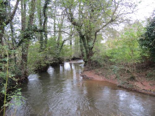 9.-Downstream-from-Wellisford-Manor-Farm-accommodation-bridge-11