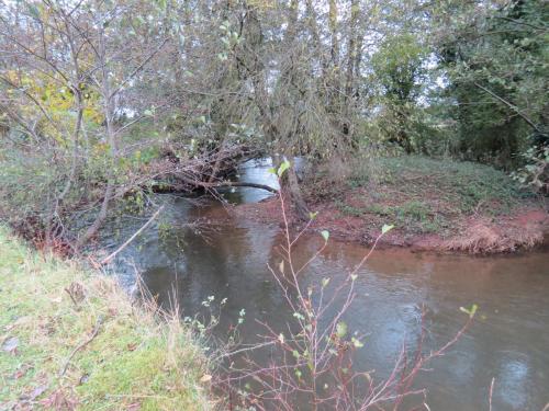 9.-Downstream-from-Wellisford-Manor-Farm-accommodation-bridge-3