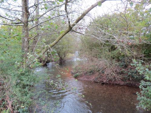 9.-Downstream-from-Wellisford-Manor-Farm-accommodation-bridge-4
