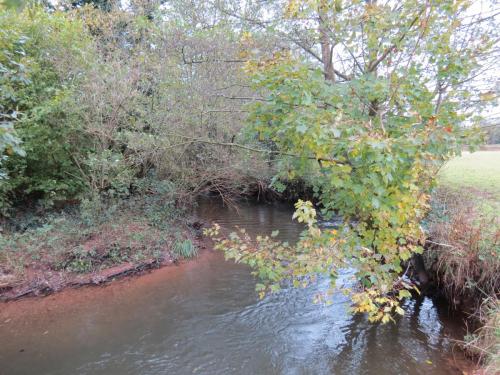9.-Downstream-from-Wellisford-Manor-Farm-accommodation-bridge-5