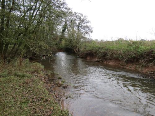 9.-Downstream-from-Wellisford-Manor-Farm-accommodation-bridge-6