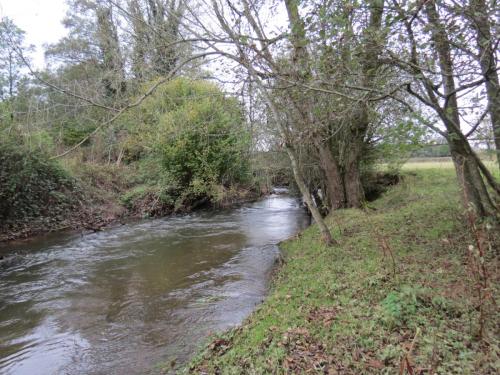 9.-Downstream-from-Wellisford-Manor-Farm-accommodation-bridge-7