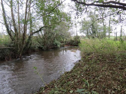 9.-Downstream-from-Wellisford-Manor-Farm-accommodation-bridge-8