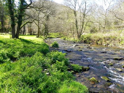 9.-Flowing-below-Heddon-Mouth-Wood-2