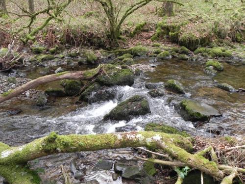 9.-Flowing-through-Wilmersham-Wood