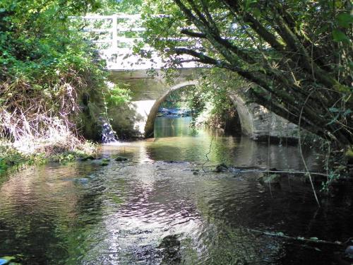 9.-Gardeners-Bridge-downstream-arch-2