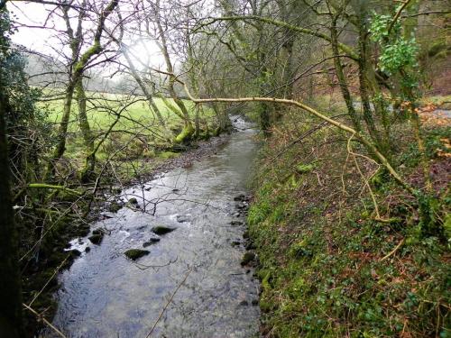 9.-Looking-upstream-from-Rawcombe-Farm-Bridge-2