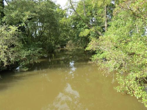 9.-Looking-upstream-from-Weirfield-Riverside-bridge