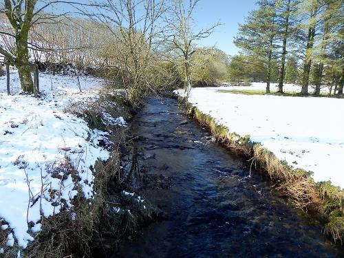 9.-Looking-upstream-from-Westermill-Farm-west-footbridge-2