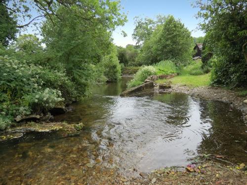 9.-Remains-of-Pittcott-Mill-weir-and-leat-1