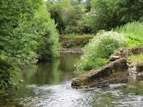 9.-Remains-of-Pittcott-Mill-weir-and-leat-2