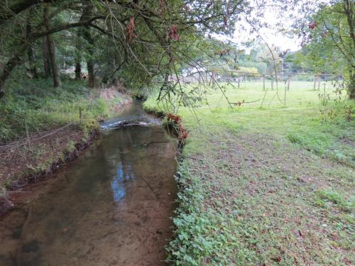 9.-Stawley-Mill-leat-downstream-from-weir