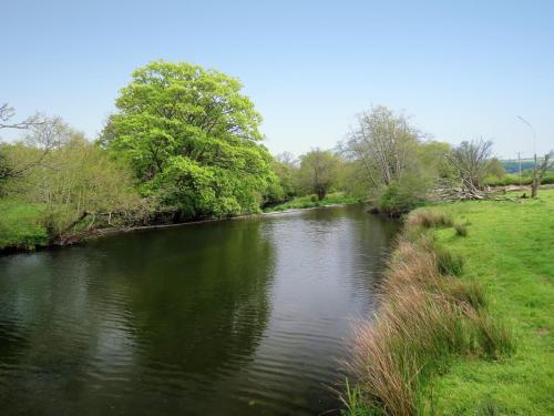 9.-Upstream-from-Perrys-Weir-June-2016-12