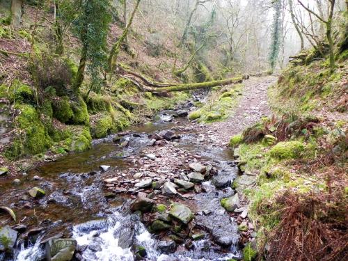 90.-Looking-upstream-from-Sideway-Wood-Footbridge-C-2