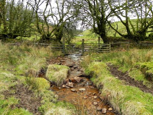 90.-Tributary-stream-from-west-of-Wintershead-Farm-2