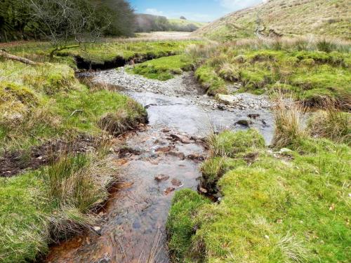 91.-Tributary-stream-from-west-of-Wintershead-Farm-2