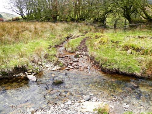 92.-Tributary-stream-from-west-of-Wintershead-Farm-2