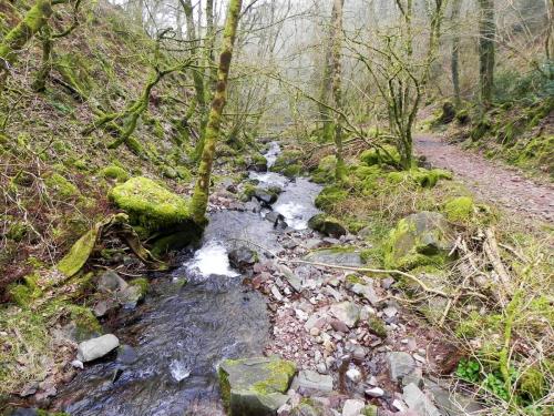 94.-Looking-downstream-from-Sideway-Wood-Footbridge-C-2