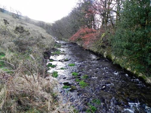 94.-Upstream-from-Lower-Sherdon-Bridge-2