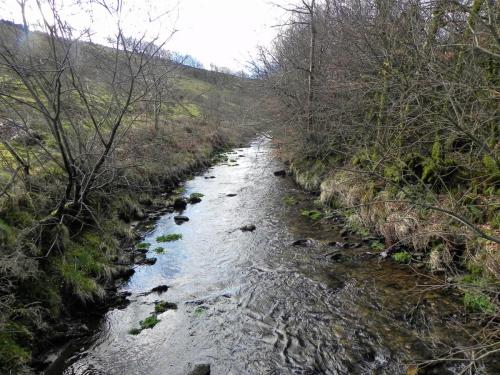 95.-Looking-upstream-from-Loere-Sherdon-Footbridge-2