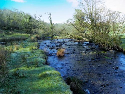 96.-Upstream-from-Slade-Bridge-2