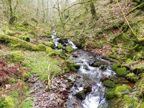 96a.-Looking-upstream-from-East-Water-Valley-Footbridge-2