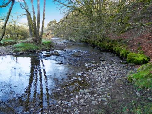 98.-Upstream-from-Slade-Bridge-2