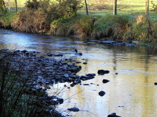 99.-Upstream-from-Slade-Bridge-2