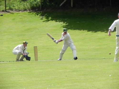 Cricket by the Exe